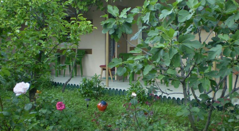 Гостиница Romashkino Podvorie Новомихайловский-9
